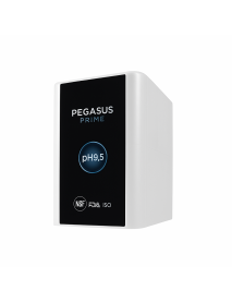 Pegasus Prime Pegasus Prime